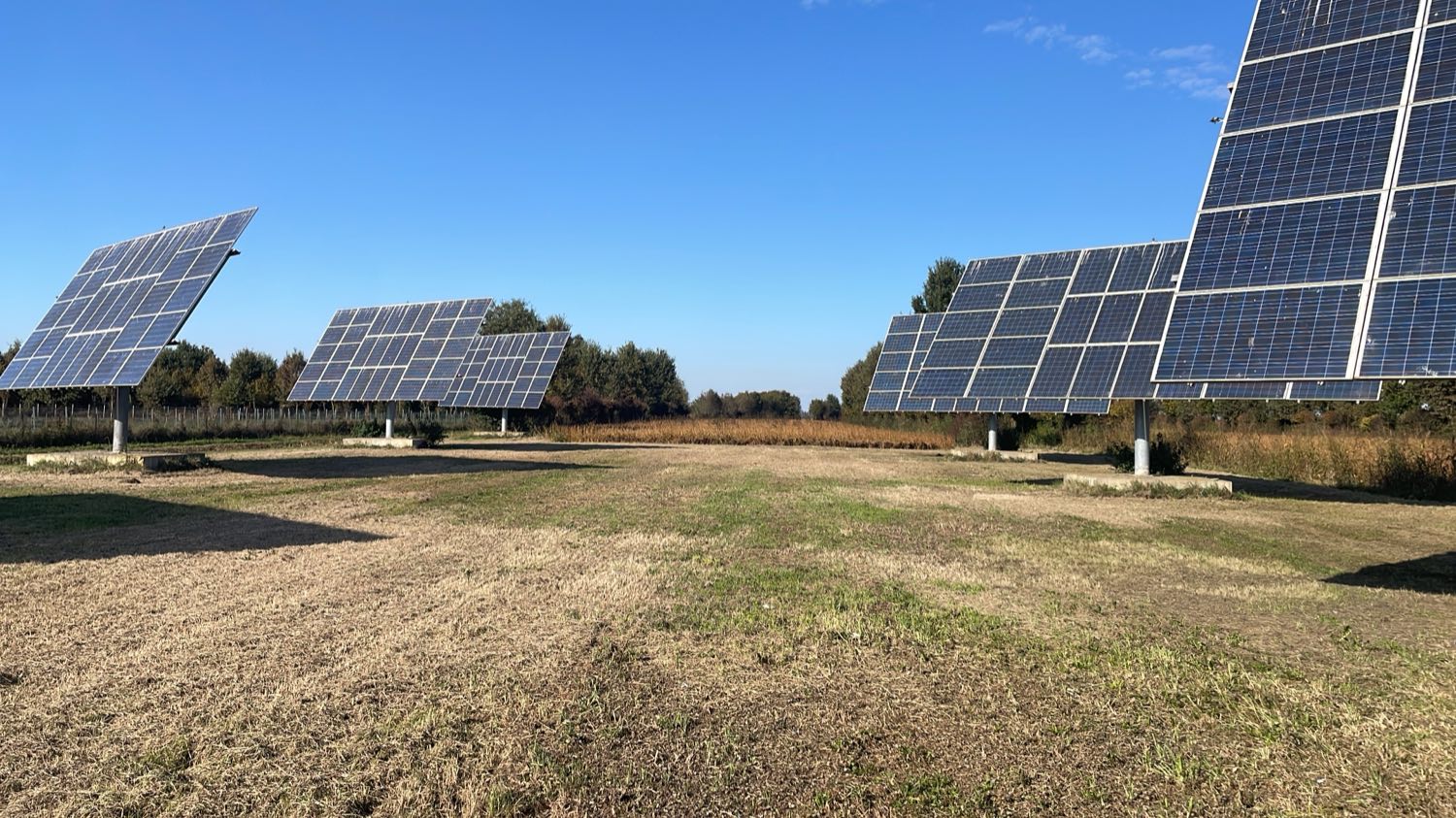 I pannelli fotovoltaici a inseguimento solare in mezzo al campo