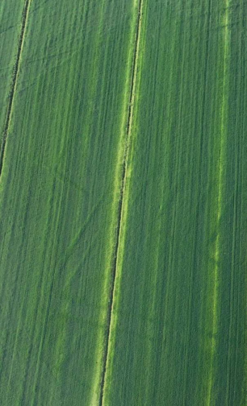 I campi coltivati visti dall'alto, con le righe della semina