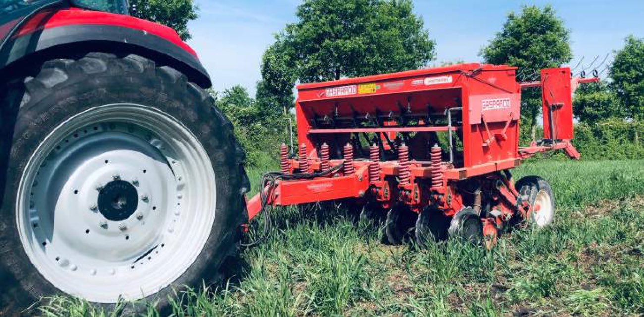 La seminatrice da sodo al lavoro sul campo coperto