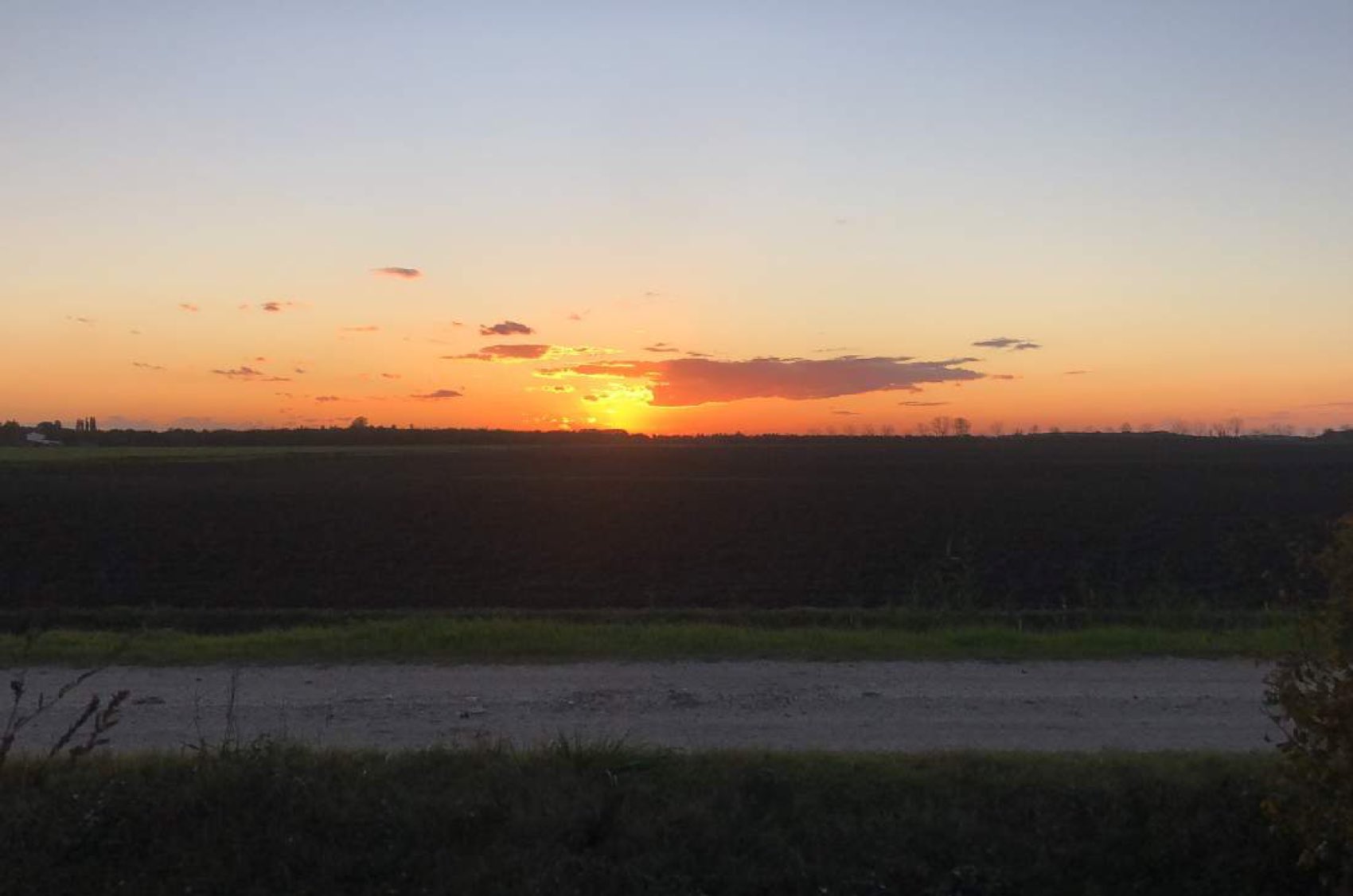Il sole che tramonta sui campi dell'azienda